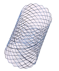 1513931864431135.bmp 尿道1.bmp